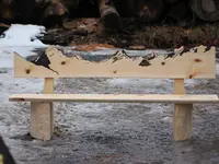 Rieder Holz und Kunst