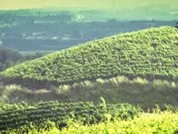 Cave du Treyblanc - Klicken Sie, um das Bild 3 in einer Lightbox vergrössert darzustellen