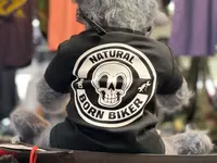 Western- und Army-Shop