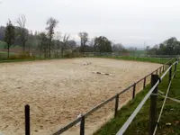 MANEGE DE GRANGES-SUR- MARLY Sàrl