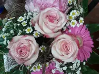 Fiori Mela Sagl