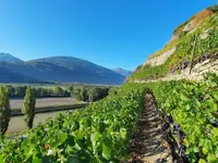 Cave de la Brunière Sàrl