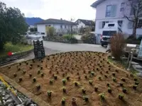 ZenGarden by Rothenbühler