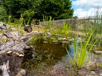 Wohlfühlgarten Portmann GmbH - Klicken Sie, um das Bild 9 in einer Lightbox vergrössert darzustellen