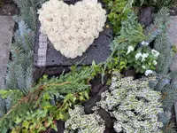 ARUM-Blumen