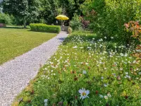 hollenstein blumengarten ag-Blumenshop-Gärtnerei-Gartenbau-Unterhalt-Grabpflege
