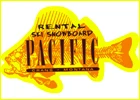 Pacific Shop Rental