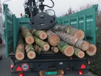 Schneider - Klicken Sie, um das Bild 6 in einer Lightbox vergrössert darzustellen