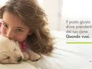 WashDog Bellinzona