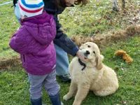 Happy-Dog-School – click to enlarge the image 3 in a lightbox