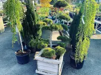 Garden Centre Meylan