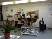 Agota's Hundesalon
