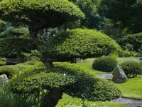 Gartenpflege Kamper