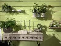 Blumen Oase GmbH