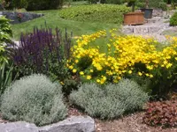 Pius Gloggner Gartenbau AG - Klicken Sie, um das Bild 4 in einer Lightbox vergrössert darzustellen