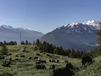 Weisshorn | Berghotel + Restaurant