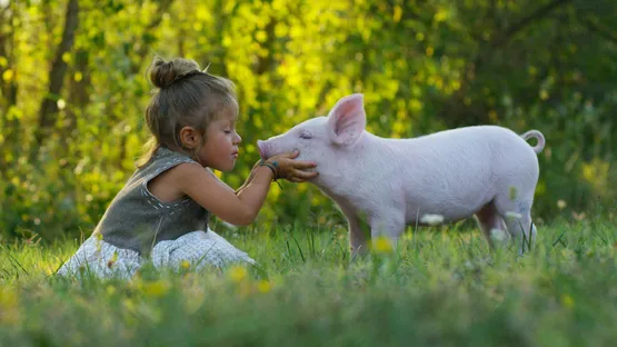 Bewusster Verzicht auf Fleisch