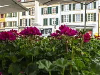 Stadtverwaltung Nidau - Klicken Sie, um das Bild 2 in einer Lightbox vergrössert darzustellen