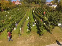 GVS Weinkellerei - Klicken Sie, um das Bild 2 in einer Lightbox vergrössert darzustellen