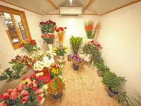 Jardinerie Fleuristerie Hämmerli SNC