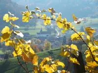 Gemeindeverwaltung Thalheim AG