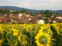 Gemeindeschreiberei Einwohnerkontrolle Kallnach