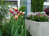 Krokus Gartenpflege GmbH - Klicken Sie, um das Bild 5 in einer Lightbox vergrössert darzustellen