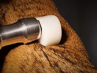 Kleintierpraxis am Obersee GmbH - Klicken Sie, um das Bild 24 in einer Lightbox vergrössert darzustellen