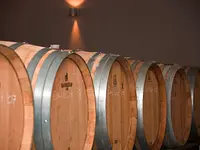 Baumgartner Weinbau AG - Klicken Sie, um das Bild 8 in einer Lightbox vergrössert darzustellen