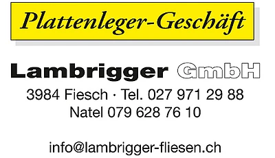 Plattenlegergeschäft Lambrigger GmbH