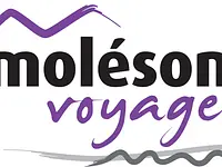Moléson Voyages SA – click to enlarge the image 1 in a lightbox