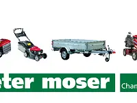 Moser Peter GmbH - Klicken Sie, um das Bild 1 in einer Lightbox vergrössert darzustellen