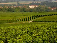 Domaine du Centaure – click to enlarge the image 1 in a lightbox
