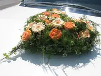 Blumen Edelweiss Hartmann Ursula - Klicken Sie, um das Bild 2 in einer Lightbox vergrössert darzustellen
