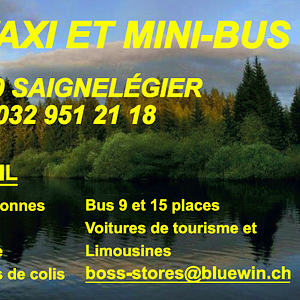 Boss taxi et mini-bus Sàrl