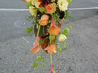 Blumen Edelweiss Hartmann Ursula - Klicken Sie, um das Bild 1 in einer Lightbox vergrössert darzustellen