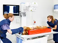 Marigin Tierklinik - Zentrum für Tiermedizin - Klicken Sie, um das Bild 6 in einer Lightbox vergrössert darzustellen