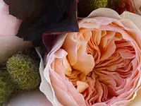 Blumen Galliker - Klicken Sie, um das Bild 4 in einer Lightbox vergrössert darzustellen