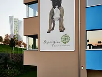 Marigin Tierklinik - Zentrum für Tiermedizin – Cliquez pour agrandir l’image 13 dans une Lightbox