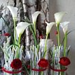 Cagna Fleurs Atelier floral et livraison - Crissier