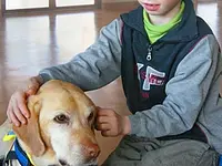 Stiftung Schweizerische Schule für Blindenführhunde - cliccare per ingrandire l’immagine 4 in una lightbox