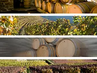 Badan Vins – click to enlarge the image 5 in a lightbox