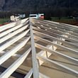 carpenteria legno Ticino