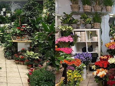 Blumenboutique Goos – click to enlarge the panorama picture