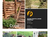 Davide Pirotta Lavori Forestali e tree climbing – click to enlarge the image 1 in a lightbox