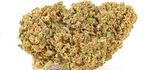 MANGO HAZE | CBD – CBDA < 17%