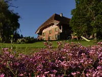 Wildblumenhaus - Klicken Sie, um das Bild 1 in einer Lightbox vergrössert darzustellen
