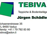 Jürgen Schädler TEBIVA Anstalt – click to enlarge the image 1 in a lightbox