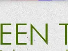 GREEN Tox – Cliquez pour agrandir l’image 1 dans une Lightbox