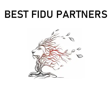Best Fidu Partners Sàrl